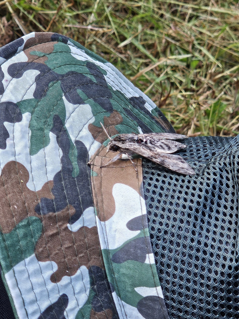 Sonmatdubuchon photo 6