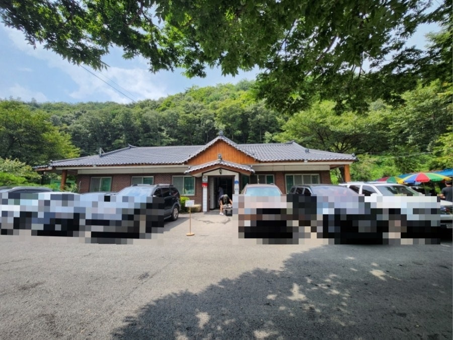 산천초목 사진 2