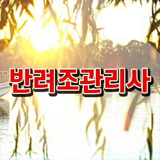  코뉴어앵무새먹이 , 반려조관리사 자격증 쉽고 간편하게 합격한 팁 및 이후 전망