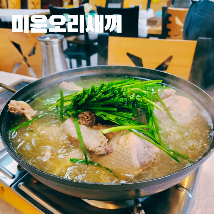  미운오리새끼 푸짐하고 맛있는 문경오리백숙 문경 가볼만한 곳 맛집