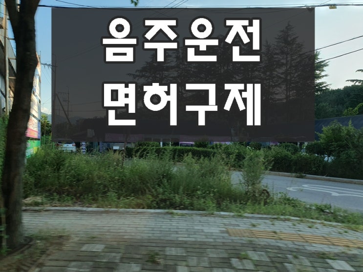  울진 음주운전 행정사 면허 구제 전문 사무소 영양 포함