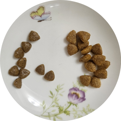 로얄캐닌 미니 인도어 급여량 구토, 설사 스타터에서 가는법