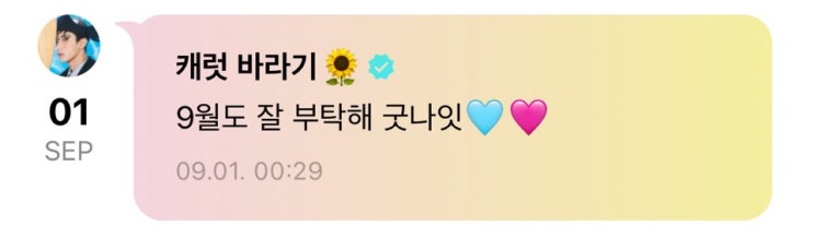  [덕질/세븐틴] 이 밤은 짧고 넌 당연하지 않아