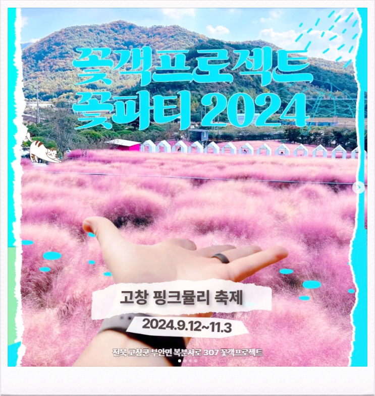  9월 전북축제 가볼만한곳 고창 핑크뮬리 축제 기본정보