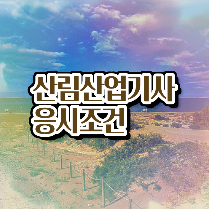  산림산업기사 필기시험 준비물 산림산업기사 시험자격 학점은행제로 간편하게 성공한 방법