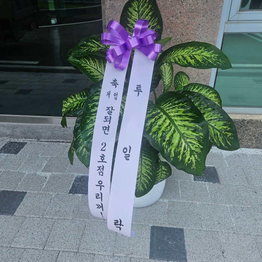 카페휴 사진 6
