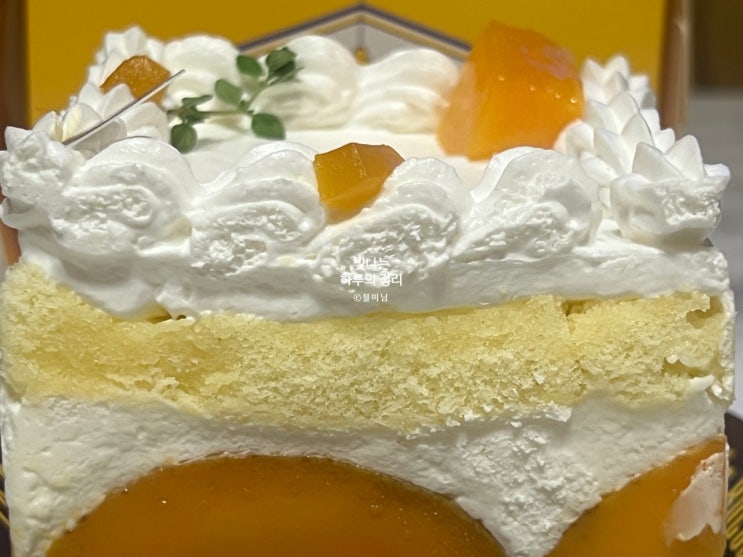 삼성역 현대백화점 케이크맛집 라보카 망고케이크