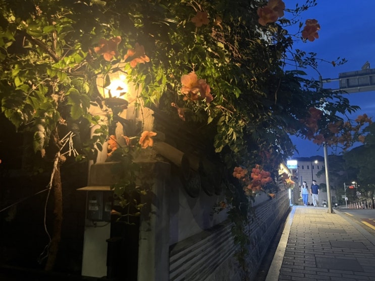  9월 첫째주 마이다이어리