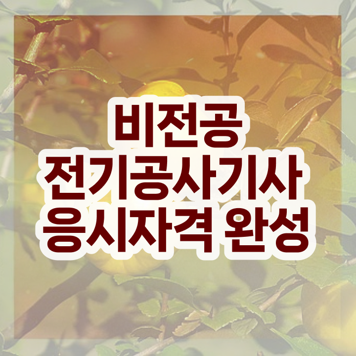  전기공사기사 학원 , 비용없이 온라인으로 전기공사기사자격증 합격 전략  전기공사기사 학원 전기공사기사 시험응시조건 독학으로 간편하게 성공한 후기