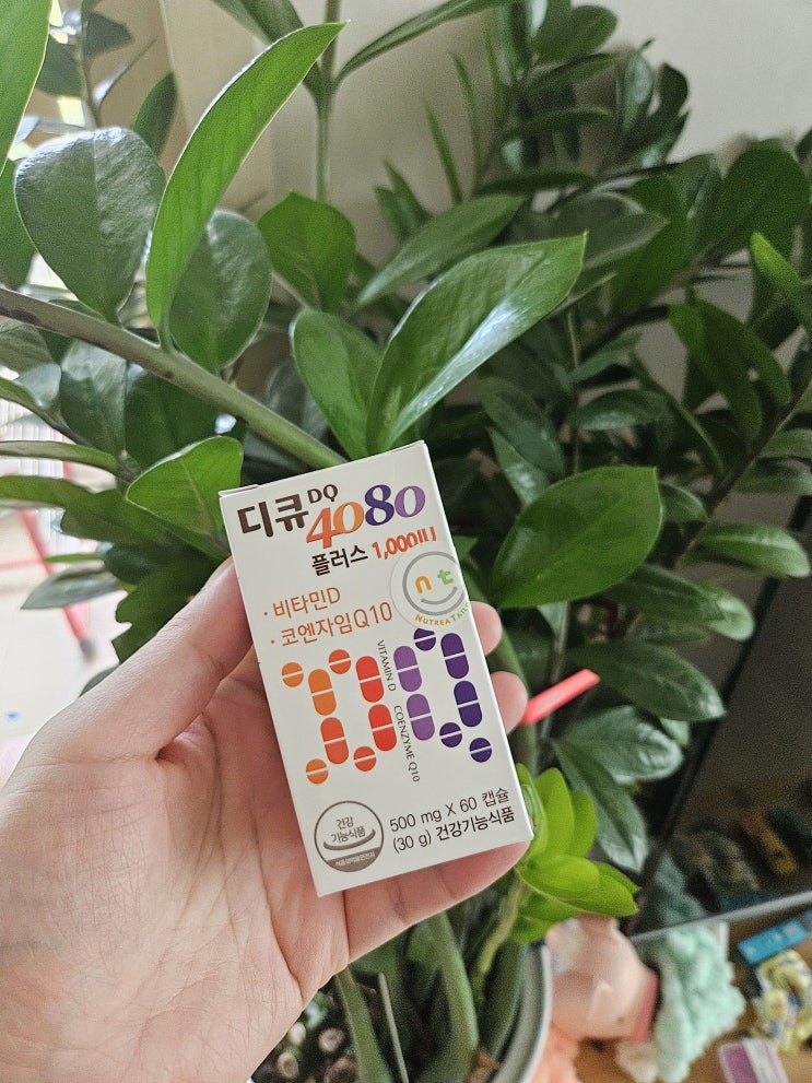  직장인 필수 비타민 D와 코엔자임 Q10로 건강 관리하기 - [뉴트리테일러] 디큐 플러스