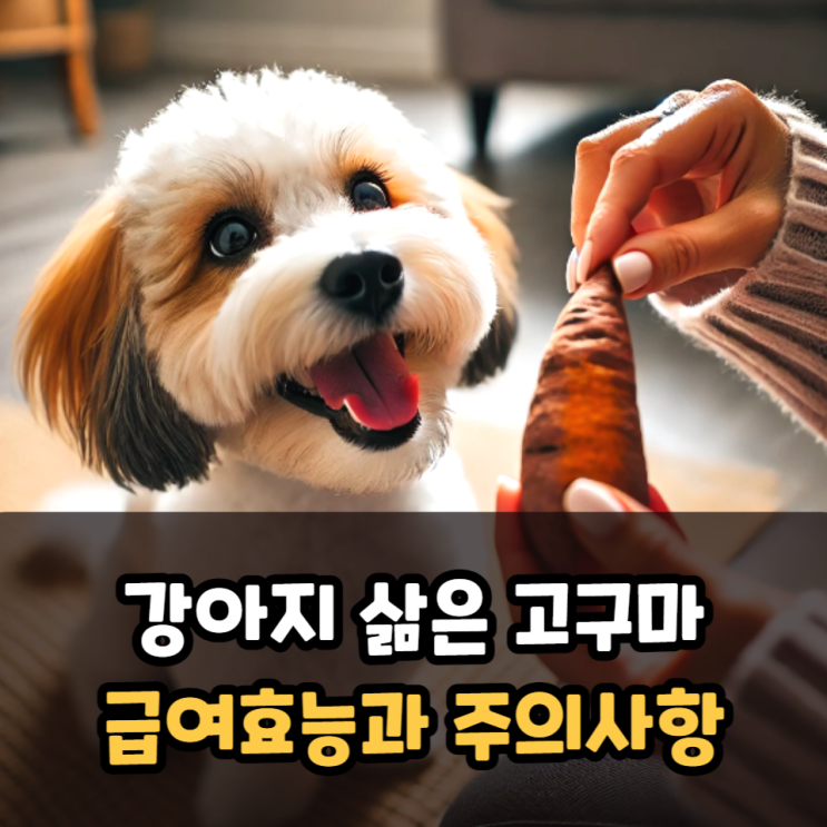  강아지삶은고구마 급여 효능