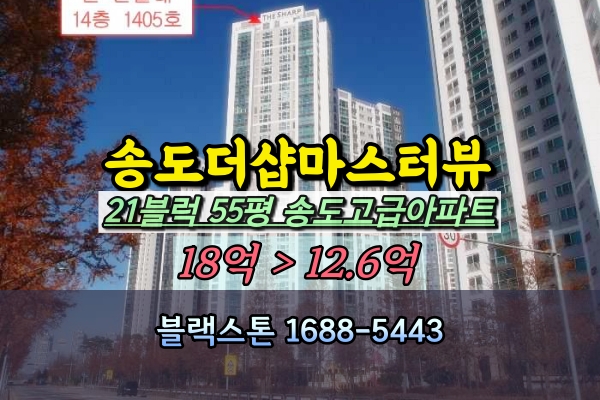  송도더샵마스터뷰 21블럭 경매 55평 송도고급아파트
