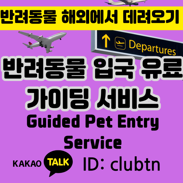  반려동물 강아지와 고양이의 안전한 귀국! 전문가 가이딩으로 간편하게  출.입국 가이딩 서비스