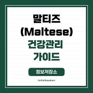  말티즈(Maltese) 건강관리 가이드