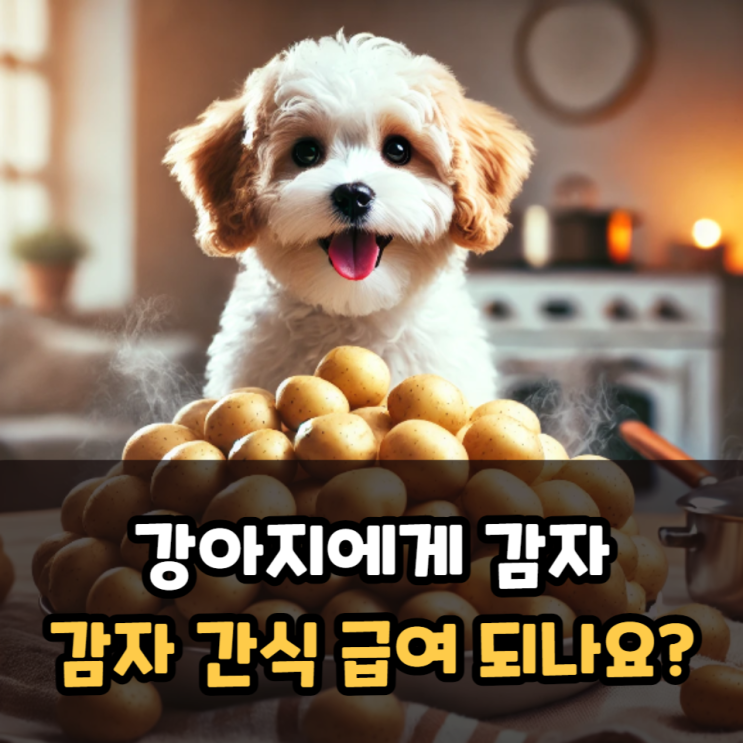  강아지에게감자 간식 급여되나요