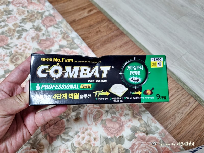 다이소 개미약 컴배트 살충제 후기