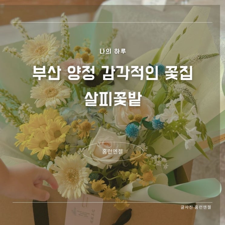  부산 양정 감각적인 꽃집 살피꽃밭 부모님생신선물