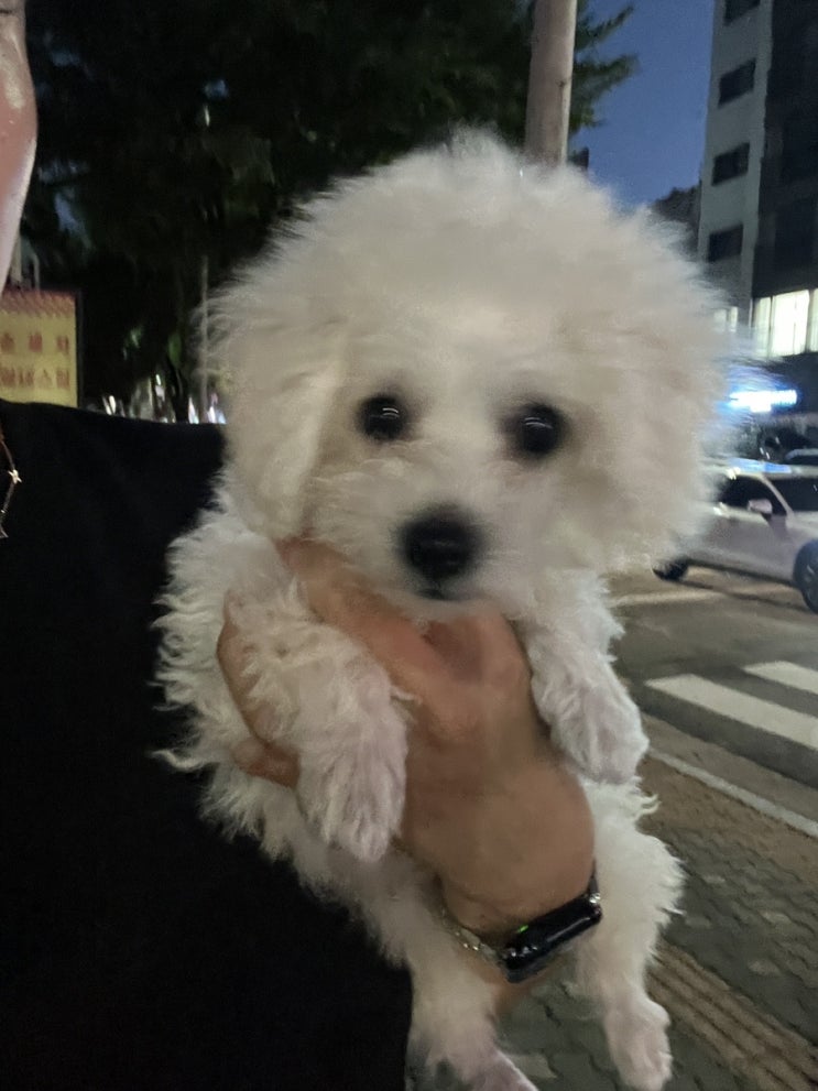  9.1~9.8 우리 또또의 성장