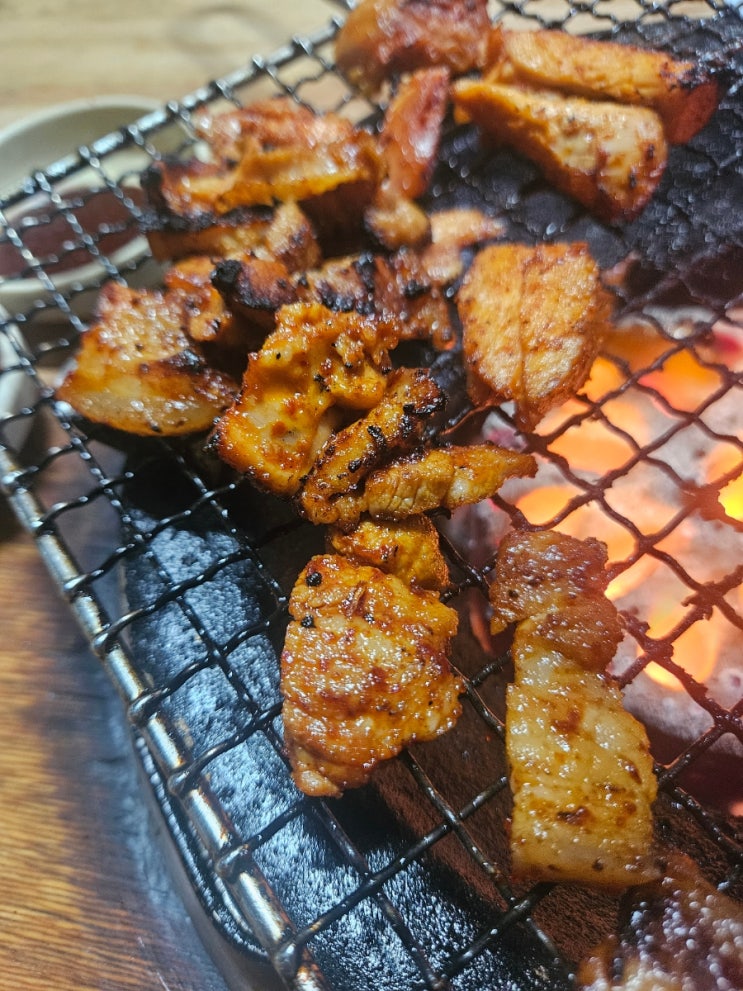  대전 탄방동 노포 술집 현지인 맛집 고기집 별들의고향