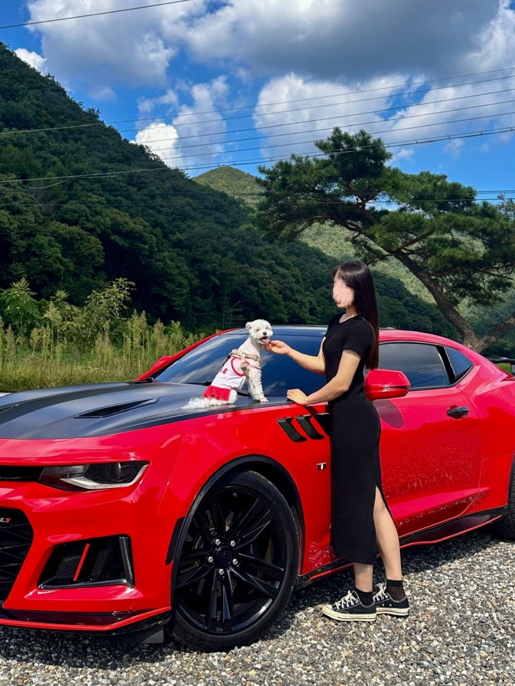  차 프로필 사진 남기기 셀토스 & 카마로 차 스냅사진