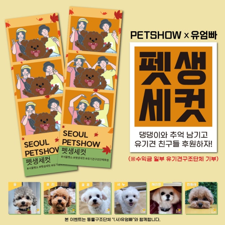  서울펫쇼 X 유엄빠 와 함께하는 펫생세컷, 추억 남기고 유기견 친구들 후원해요!