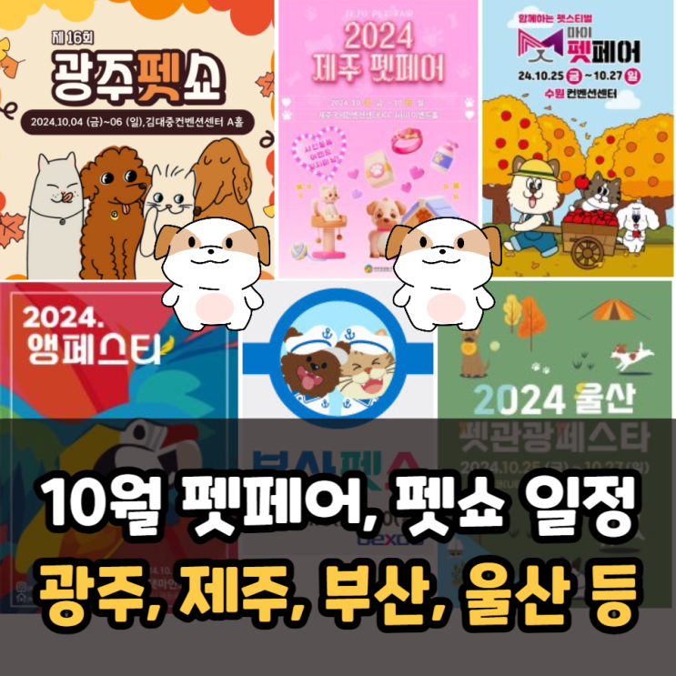  10월 펫페어, 펫쇼 일정(마이펫페어, 광주, 제주, 부산, 울산)