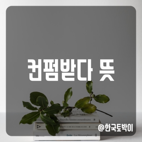  컨펌받다 뜻 컨펌 영어로 (confirmation)