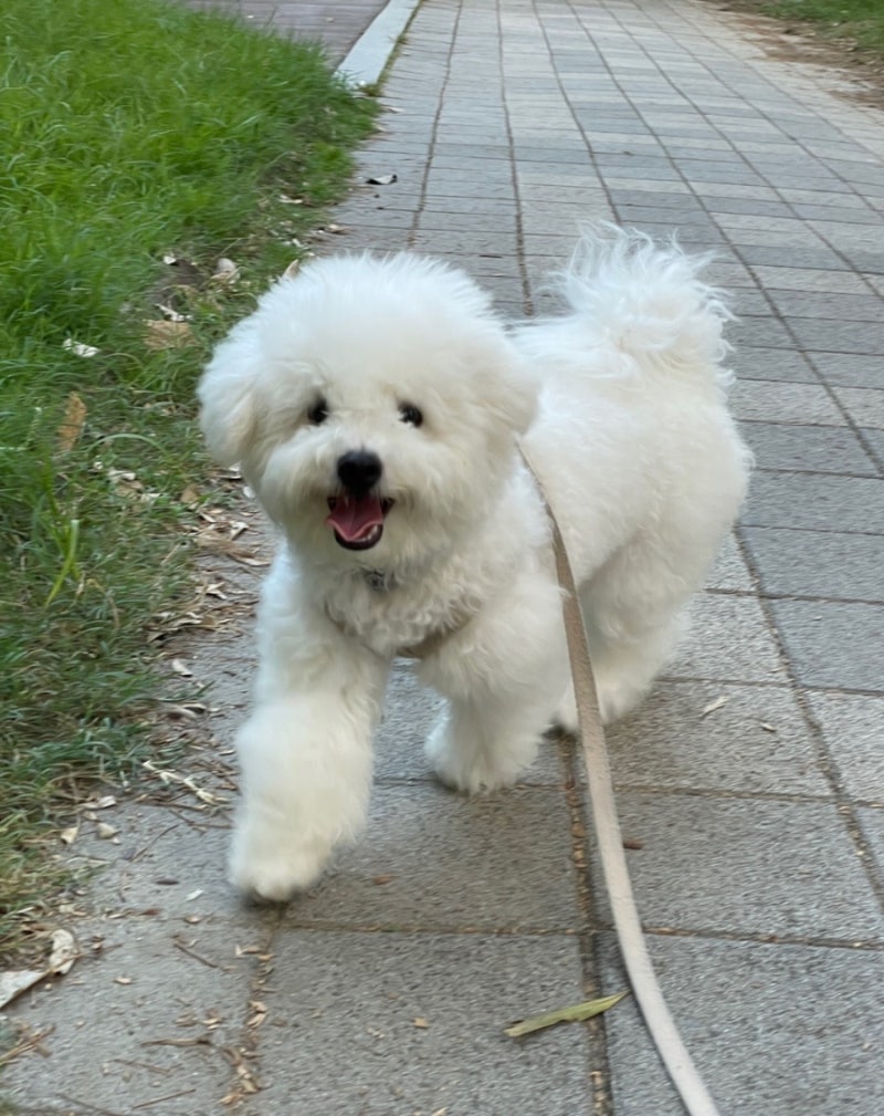 사진 10