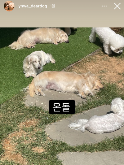사진 4