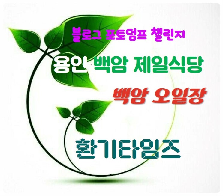 용인 맛집 찾아가기_백암 제일식당 토종순대_백암시장 오일장_환기타임즈 용인 맛집 찾아가기_백암 제일식당 토종순대_백암시장 오일장_환기타임즈