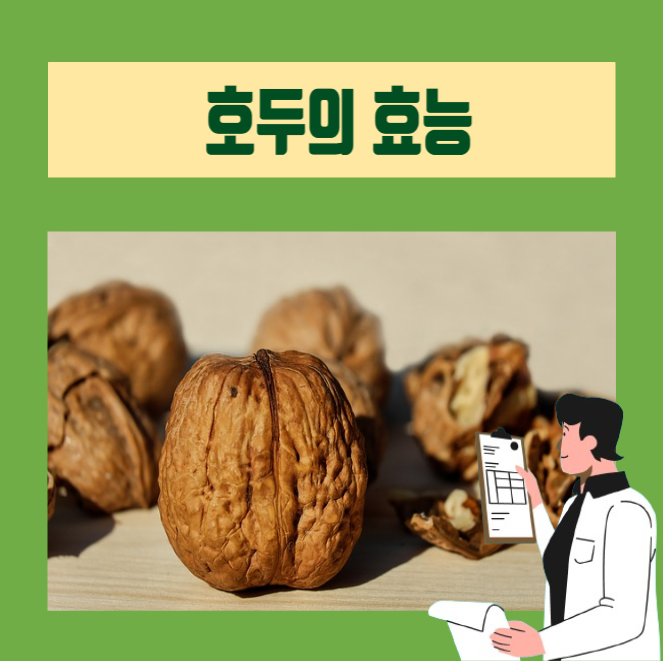  [이학박사] 뇌 기능 향상에 좋은 호두