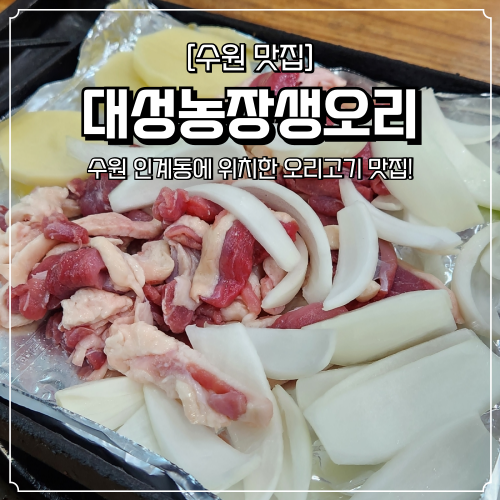  수원 오리고기 맛집 대성농장생오리 인계동 몸보신