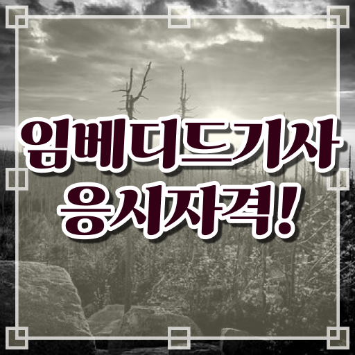  임베디드기사 2024 임베디드기사 응시조건 온라인으로 편하게 성공한 과정