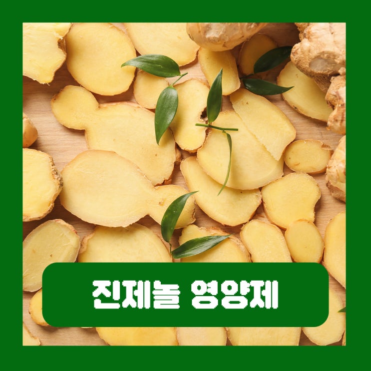  진제놀 영양제 효능 진저롤 부작용 생강섭취 방법