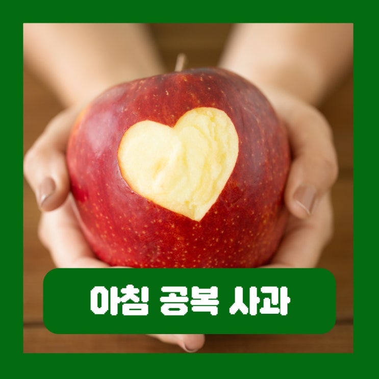  아침공복사과혈당 식초 효능 과일 부작용