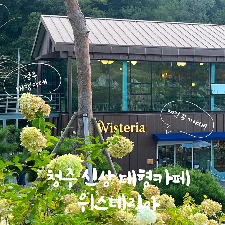  청주 신상 대형카페 위스테리아 + 청주 주말 가족 나들이 가좌리움