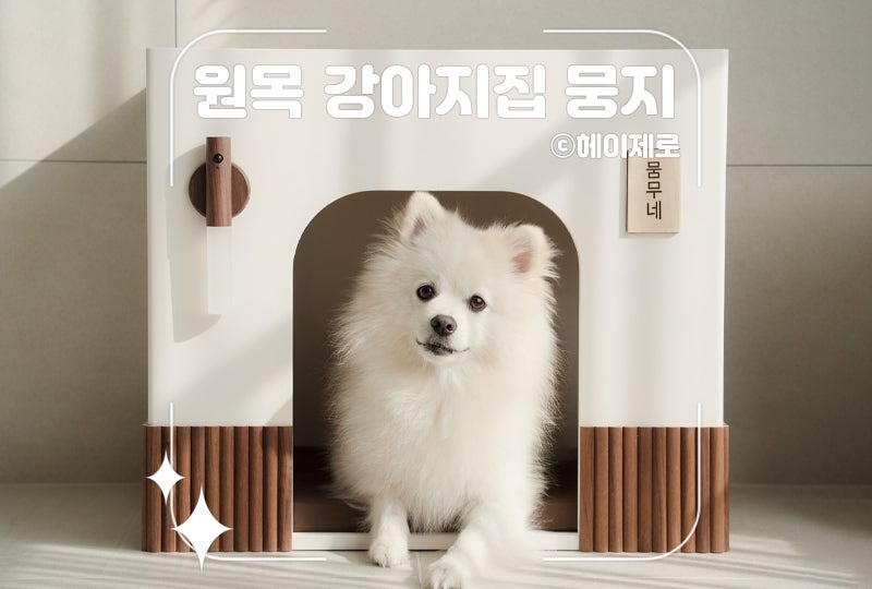 사진 7