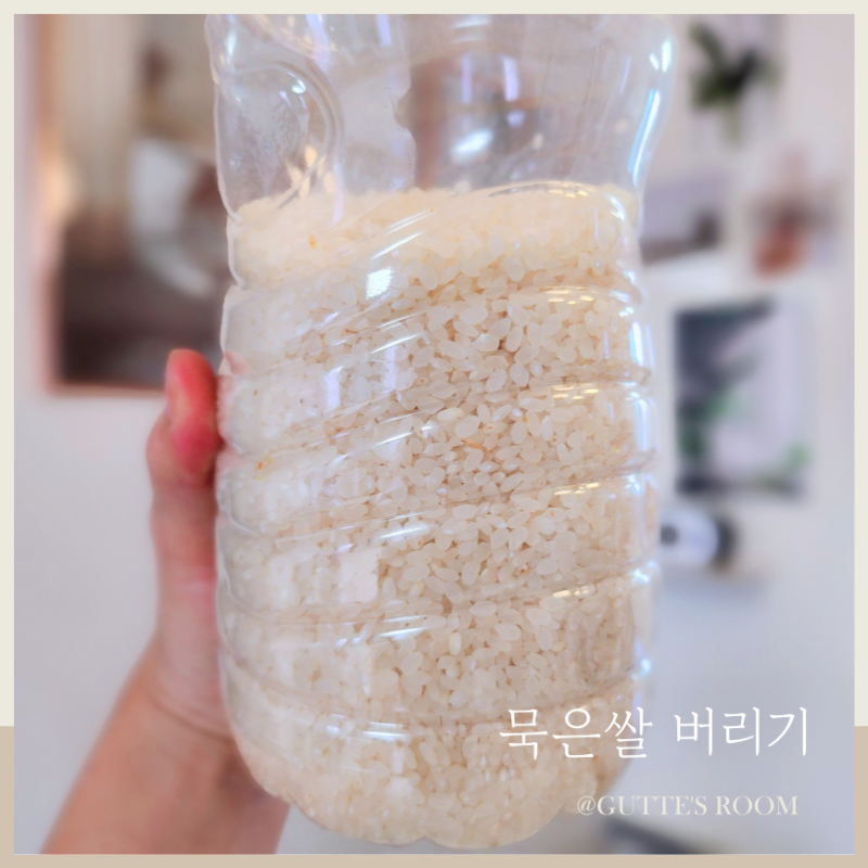 묵은쌀 버리기 (곰팡이 핀 쌀, 오래된 쌀, 상한 쌀)