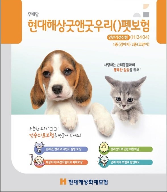 현대해상 굿앤굿 우리펫보험