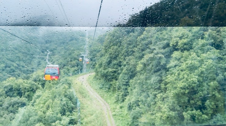  강원도여행 평창 모나용평,발왕산 케이블카,딥다이브