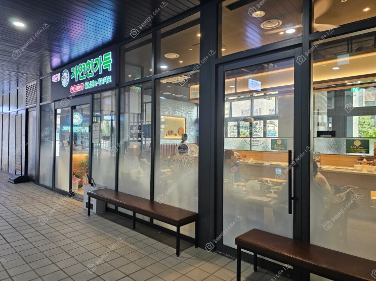  불광역 샤브샤브, 월남쌈 맛집 (채선당 자연한가득 불광역점)