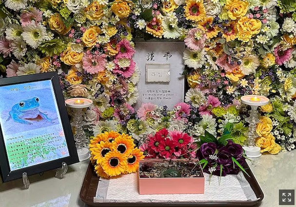햄스터, 개구리, 달팽이, 지네… 장례식장 주인공이 달라졌다 햄스터, 개구리, 달팽이, 지네… 장례식장 주인공이 달라졌다