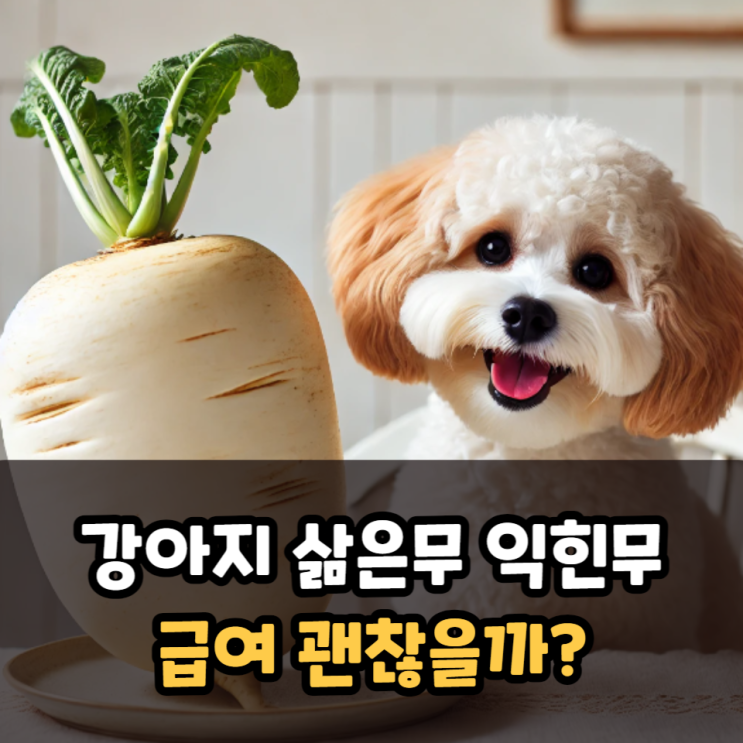  강아지 삶은무 익힌무 급여 괜찮을까?