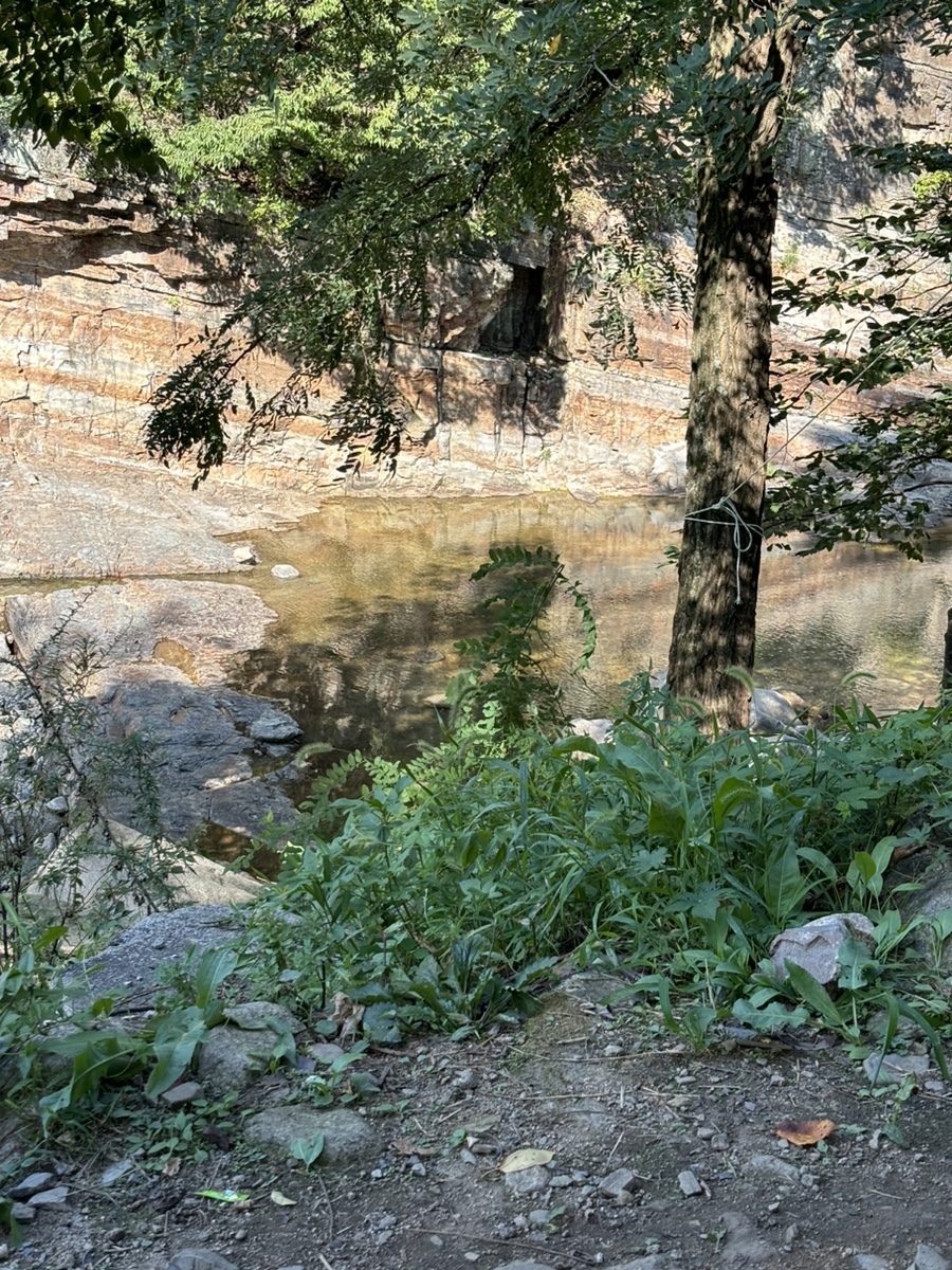 Dongdaemunyeopgitteokboki Gyeongsanhayangjeom photo 1