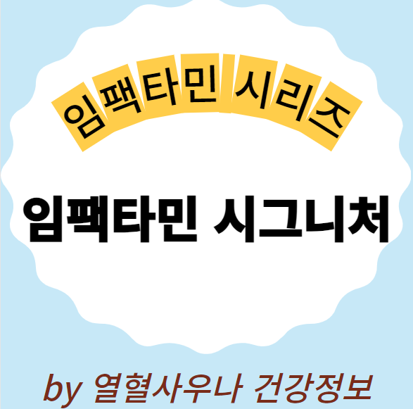  임팩타민 시그니처 가격 성분 완벽비교정리