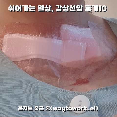 [투병 일기 10] 갑상선암 후기 (전반적인 수술 후기 1탄 병원 선택과 요양원 선택 수술 일정과 ....