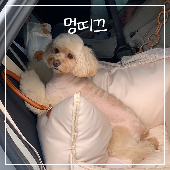 사진 7