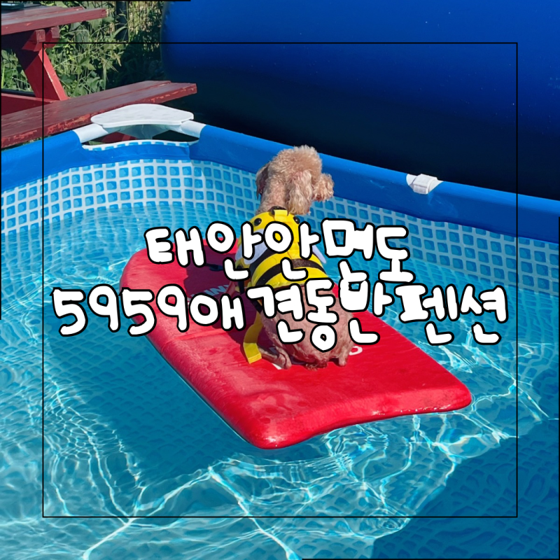 사진 3