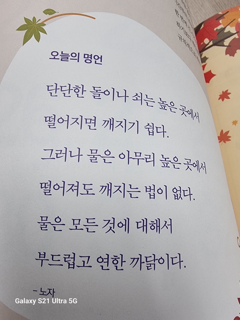 🏋운동하는물리치료사 성크🏋 (@sungk_physio) • Instagram photos and videos, image size:800x1067