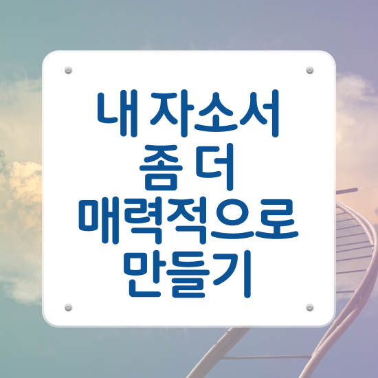  , 자기소개서지도사 자격증 준비한 방법 궁금증 해결
